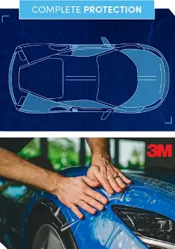 3M ppf